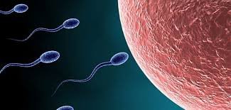 What causes sperm to be watery?